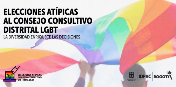 ELECCIONES ATÍPICAS AL CONSEJO CONSULTIVO DISTRITAL LGBT
