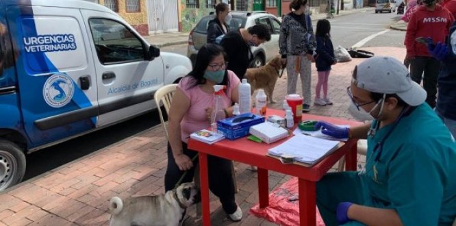 Jornada de vacunación antirrábica barrio San Bernardo