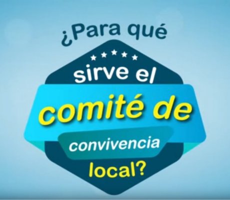 Comité Civil de Convivencia Local